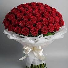 Букет 101 Красная роза Блэк Мэджик в Малых Ягурах