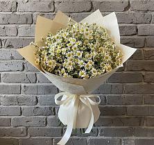 Букет цветов из:  Ромашки #REPLACE_PRED# Малых Ягурах