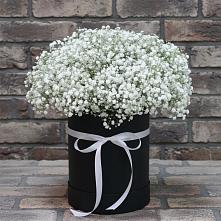 Цветочная композиция из Гипсофила в шляпной коробке в Малых Ягурах